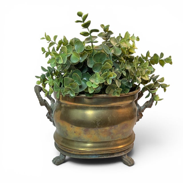 This vintage brass jardinière planter features lion head handles and paw feet. It is brass with all patina intact. I feel...