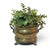 This vintage brass jardinière planter features lion head handles and paw feet. It is brass with all patina intact. I feel...