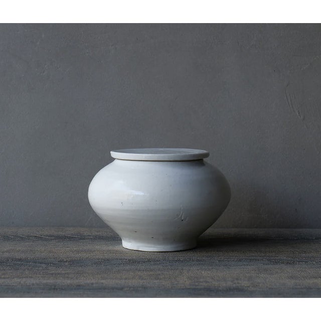 Handmade Japanese White Porcelain Lotus Flower Lidded Container From Rw Guild by Tomoko Sakai For Sale In New York - Image 6 of 15