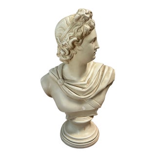 Mid 20th Century Vintage Neoclassical Bust of Apollo For Sale