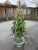 Italian Christmas Tree Attributed to Murano For Sale - Image 3 of 4