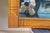 Antique Victorian Eastlake Walnut Hanging Mirror With Carved Scalloped Pediment For Sale - Image 10 of 12