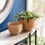 Rattan goes mod with our latest Cane Rattan collection. With a light and refined color & finish, a distinctively more...