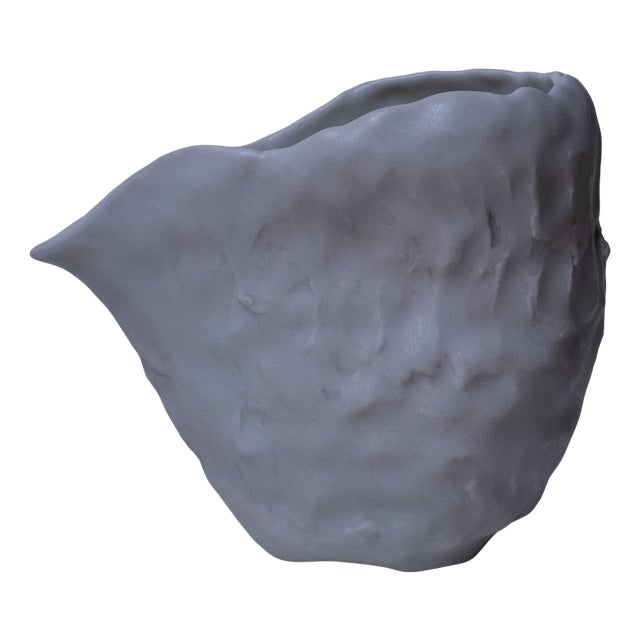 Beak Jug by Etra Masi For Sale