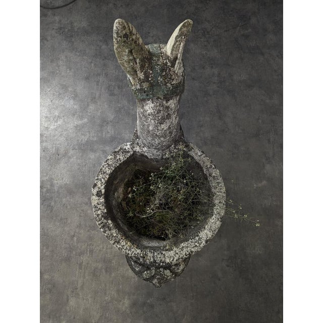Cement Donkey Garden Decoration For Sale - Image 9 of 10