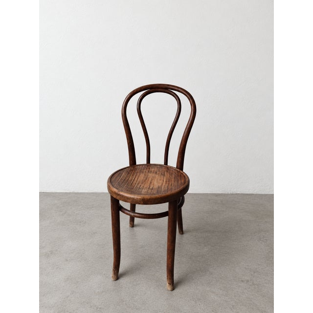 Antique Side Chair in Bentwood by Michael Thonet, 1900 For Sale - Image 9 of 9