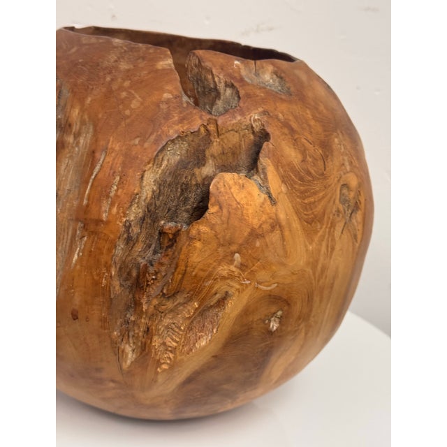 Sculptural Burl Wood Vessel Bowl For Sale - Image 12 of 12