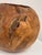 Sculptural Burl Wood Vessel Bowl For Sale - Image 12 of 12