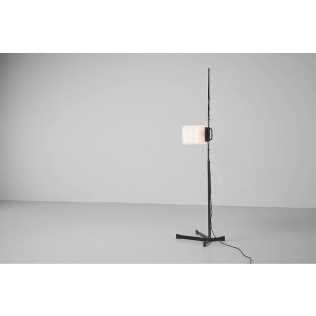 Rare floor tmc floor lamp designed by miguel milá and manufactured by tramo, spain 1950. This floor lamp is from the first...