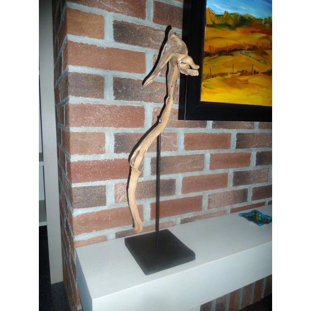 Seahorse Driftwood Art For Sale In Boston - Image 6 of 8