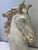 Hollywood Regency Vintage Plaster Horse Head Sculpture For Sale - Image 3 of 8