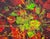 Floral Abstract Still Life California Golden Poppies Original Oil on Canvas Textured abstract composition of California...