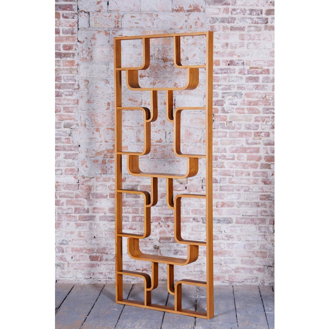 Mid-Century Modern Divider by Ludvik Volak, 1960s For Sale - Image 9 of 12