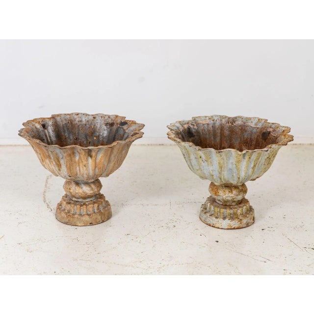 This captivating pair of late 20th-century iron tazzas exhibits a distinct verdigris patina, imbuing them with an aura of...