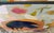 Paint “Crow Rules” a Fun Bird Painting by LWren Walraven For Sale - Image 7 of 14