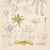 Scientific Maple Anatomy Lithograph | Hand-Colored Antique Botanical Print For Sale - Image 4 of 5