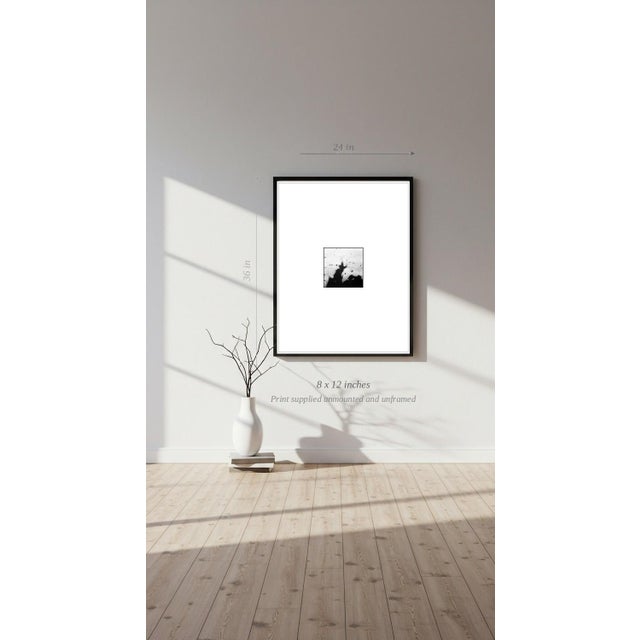 Paul Cooklin, Frozen Lake, Debenham, Edition of 50 For Sale - Image 6 of 7