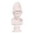 Plaster Bust of Athena by Caproni, u.s.a. Circa 1960 For Sale