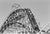 Coney Island Cyclone The Coney Island Cyclone, a wooden roller coaster at Luna Park in Coney Island, New York City, circa...