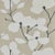Harlequin Kienze Shimmer Wallpaper in Gilver/Chalk - a Sample For Sale
