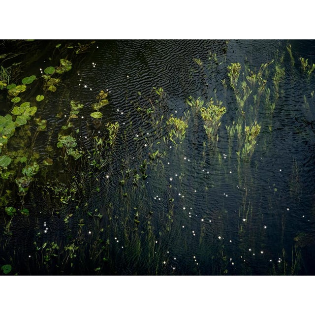 Chalk Streams 7 is a stunning C-Type Digital C-Type print on Fuji Maxima Matte paper. This 90cm x 120cm size print is...