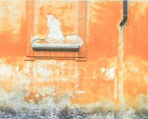 Vintage Architectural Detail in Ochre Photograph