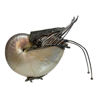 2000s Nautilus Shell Marine Mollusk For Sale