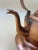 Antique European Copper Kettle For Sale - Image 11 of 13