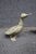 Mid-Century Modern Mid Century Silvered Brass Duck Sculptures, Attributed to Mauro Manetti, Set of 2 For Sale - Image 3 of 9