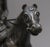 19th-Century Bronze Sculpture of Napoleon on Horseback For Sale - Image 3 of 11
