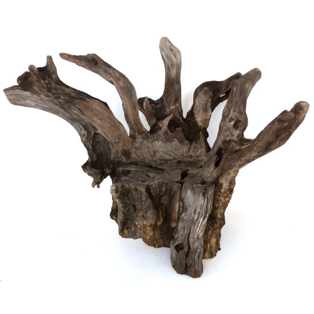 Organic Studio Sculptural Tree Trunk Root Chair For Sale - Image 10 of 10