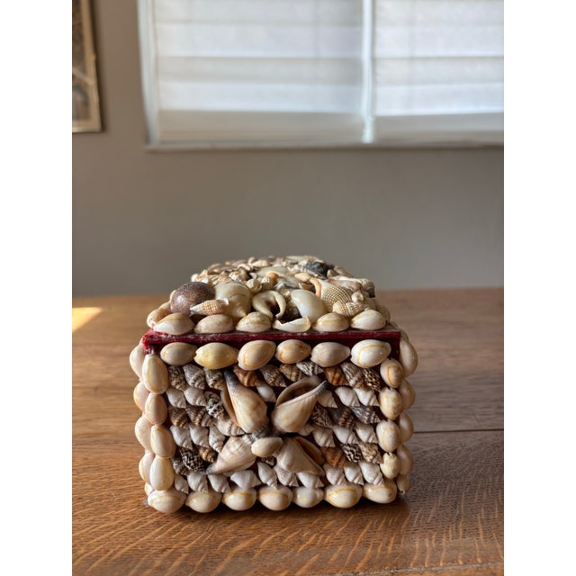 Vintage English Shell Box For Sale In Naples, FL - Image 6 of 8