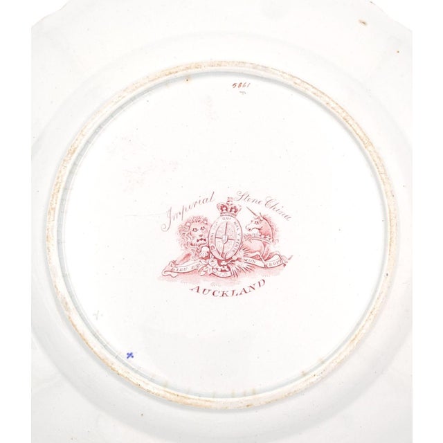 Set of Twelve "Auckland" Pattern Ironstone Dinner Plates, England Circa 1835 For Sale In San Francisco - Image 6 of 7