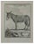Pierre Charles Baquoy, The Donkey, Etching, 1771 For Sale