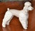 1950s Lladro Fine Handmade Porcelain Poodle Dog Figurine Animal Sculpture Spain For Sale In Miami - Image 6 of 18