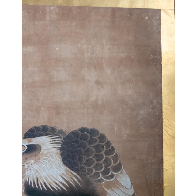 18th Century Japanese Edo Period Kano School Watercolor Painting of a Hawk For Sale - Image 10 of 15