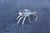 Metal Mid 20th Century Sterling Silver Crab Salt Cellar 20th Century For Sale - Image 7 of 8
