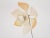 Mid-Century Modern German Adjustable Mod SY1 Flower Floor Lamp by Gunter Symmank for Integra, 1960s For Sale - Image 3 of 9