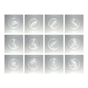Set of 12 Steuben Wheel Engraved Crystal or Glass Audubon Plates by Sydney Waugh