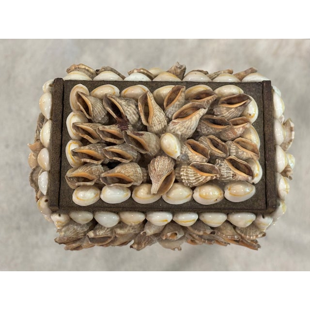 Traditional Vintage Palm Beach Style Rectangular Encrusted Shell Box in Neutral Palette For Sale - Image 3 of 18