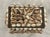 Traditional Vintage Palm Beach Style Rectangular Encrusted Shell Box in Neutral Palette For Sale - Image 3 of 18