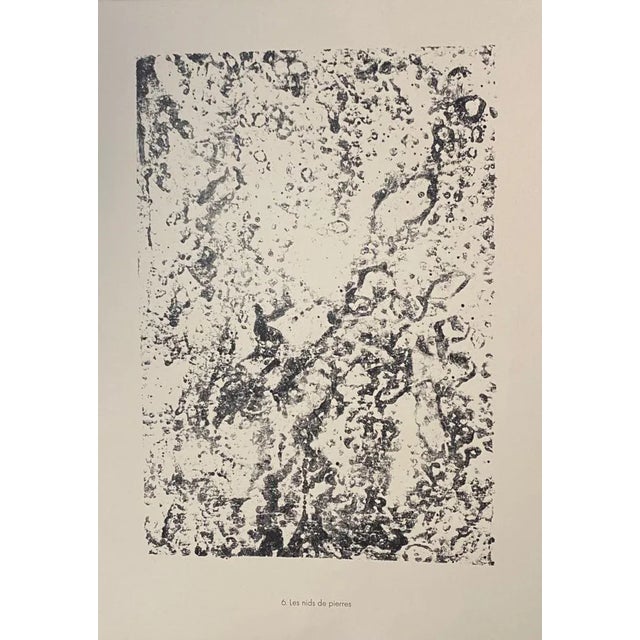 Les nids de pierres is an original b/w lithograph on watermarked paper ''arc''. Abstract composition by the french artist...