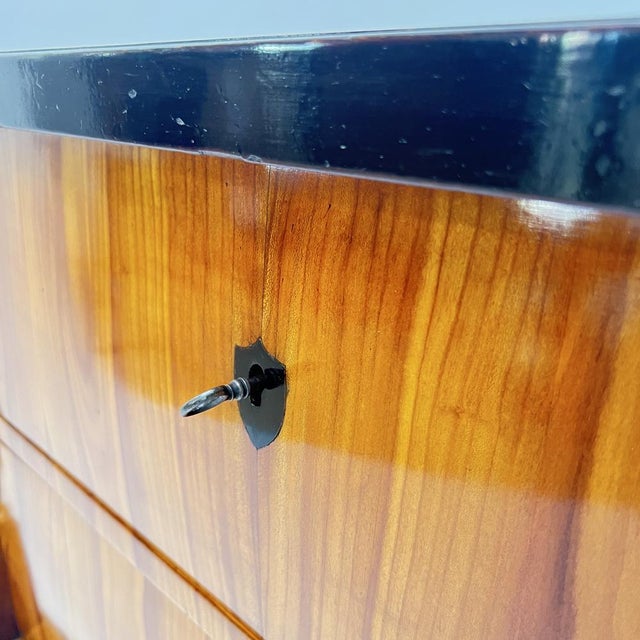 Biedermeier Chest of Drawers in Ebonized & Gilded Cherry Wood, Franconia, 1820s For Sale - Image 14 of 18