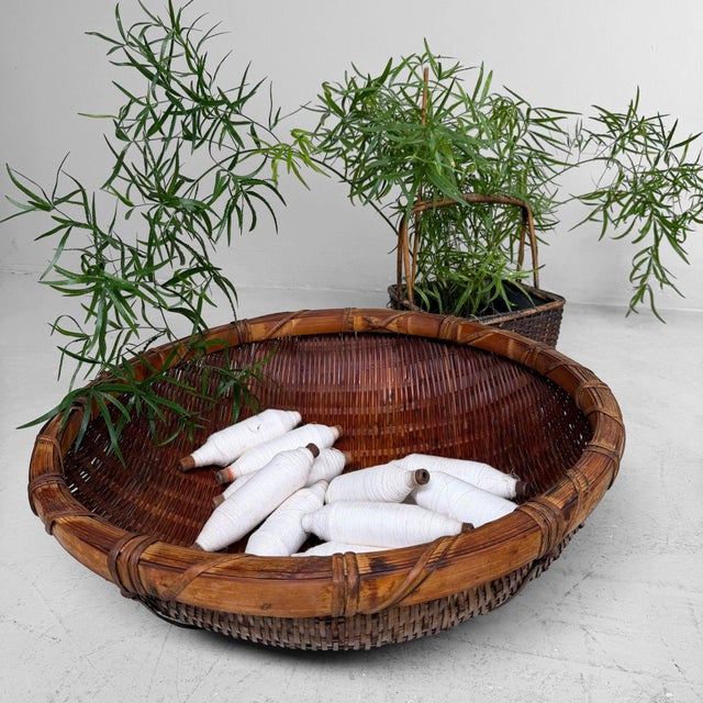 Vintage Japanese Bamboo Zaru Harvest Basket, 1950s For Sale - Image 4 of 11