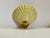 A ceramic scallop shell wall vase in pale yellow that has 22k gold highlights and has an opening which is 4 inches long...