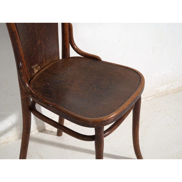 Antique Bentwood Chairs, Central Europe, 1900s, Set of 2 For Sale - Image 9 of 11