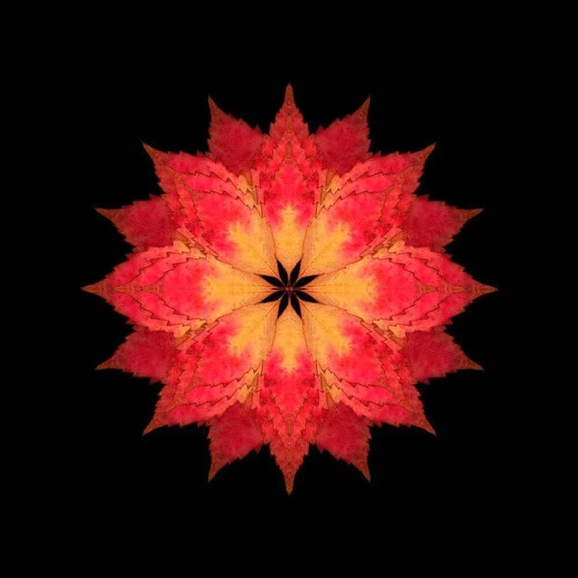 Edition of 10. All items are shipped as a print only and come unframed. Judith lyons is a photographic artist living and...