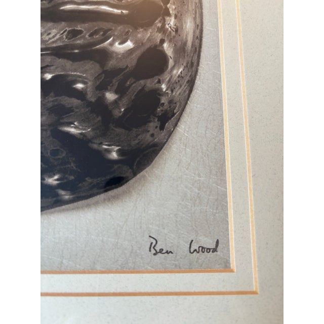 Trowbridge Gallery Ben Wood Signed Limited Edition Shell Giclée Print - Framed – Coa Included For Sale In New York - Image 6 of 10
