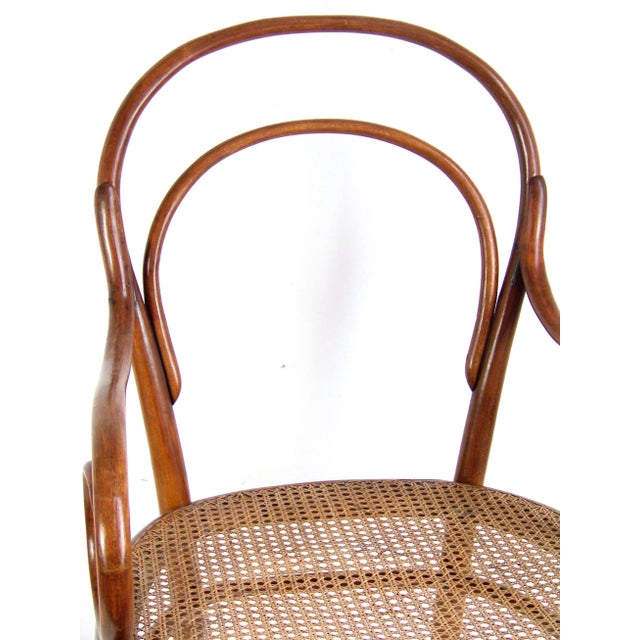 Nr. 8 Armchair from Thonet For Sale - Image 3 of 8