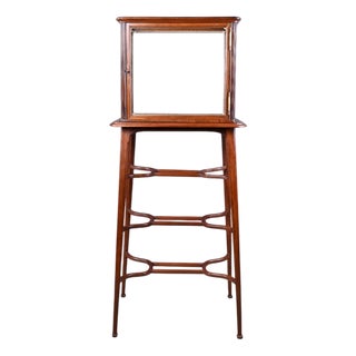 Art Nouveau Mahogany Display Case, 1900s For Sale